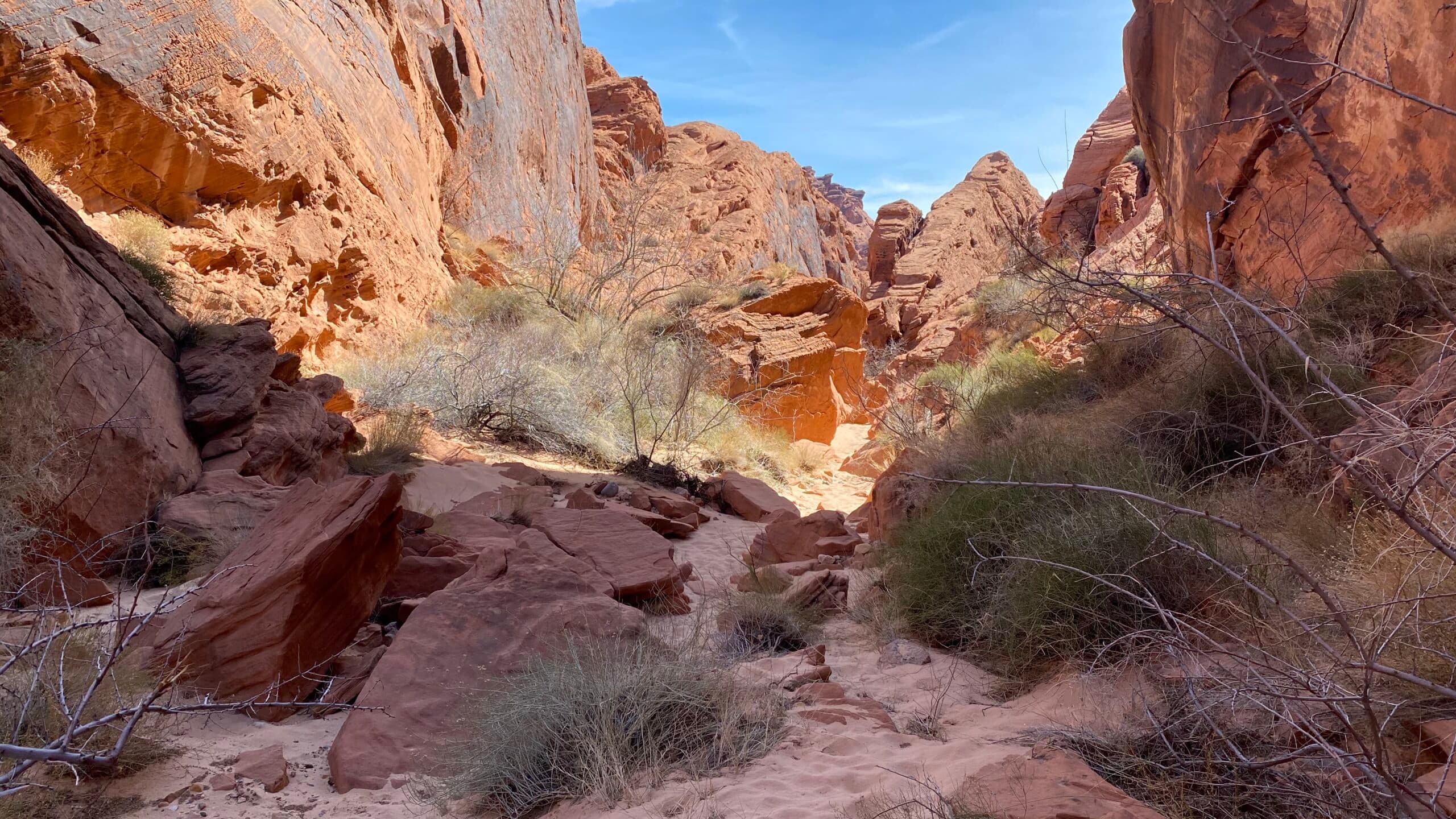 9. Desert